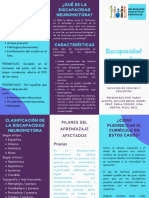 Folleto Disc. Neuromotora. NEES PDF