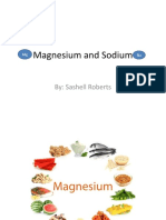 Magnesium and Sodium: By: Sashell Roberts