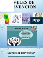 Niveles de Prevencion