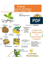 Interacciones Microbianas Partes 2 Peru