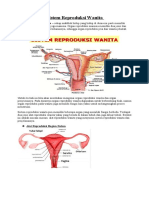 Sistem Reproduksi Wanita