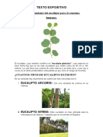 El Procesamiento Del Eucalipto para El Consumo