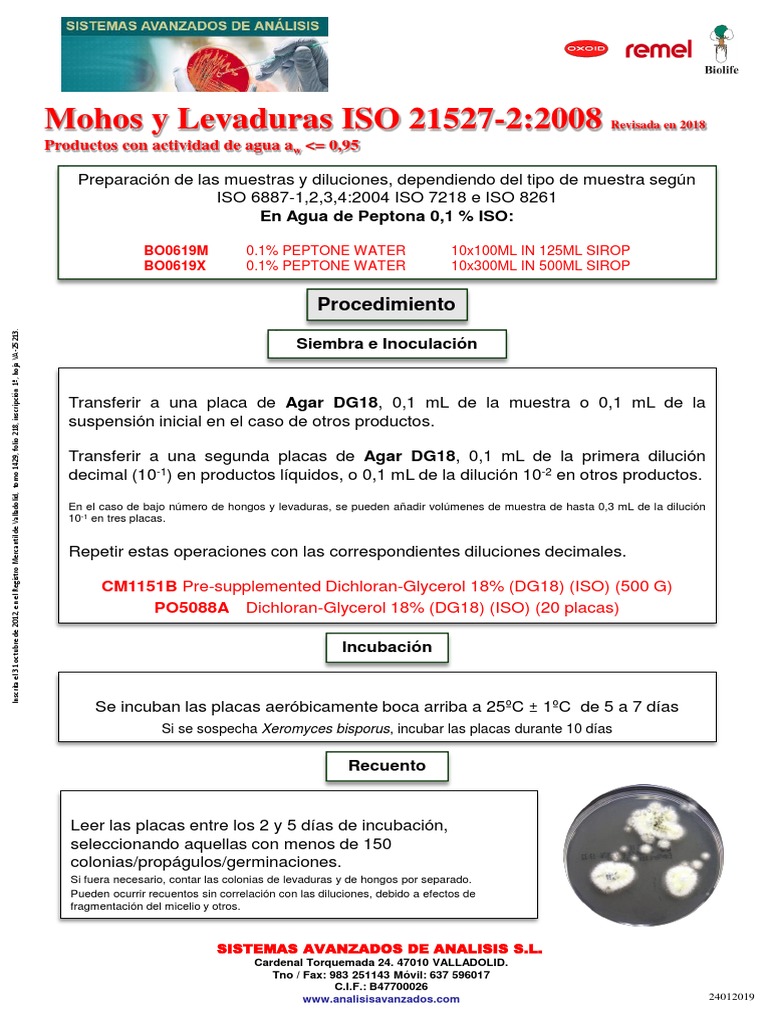 mohos-y-levaduras-iso-21527-2-2008-pdf-hongo-eucariotas
