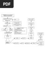 Download Impetigo Pathophysiology by Cesar Arada SN47838177 doc pdf