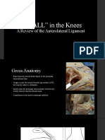 It's "ALL" in The Knees: A Review of The Anterolateral Ligament