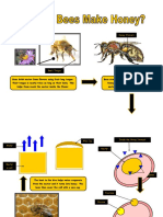 How Do Bees Make Honey