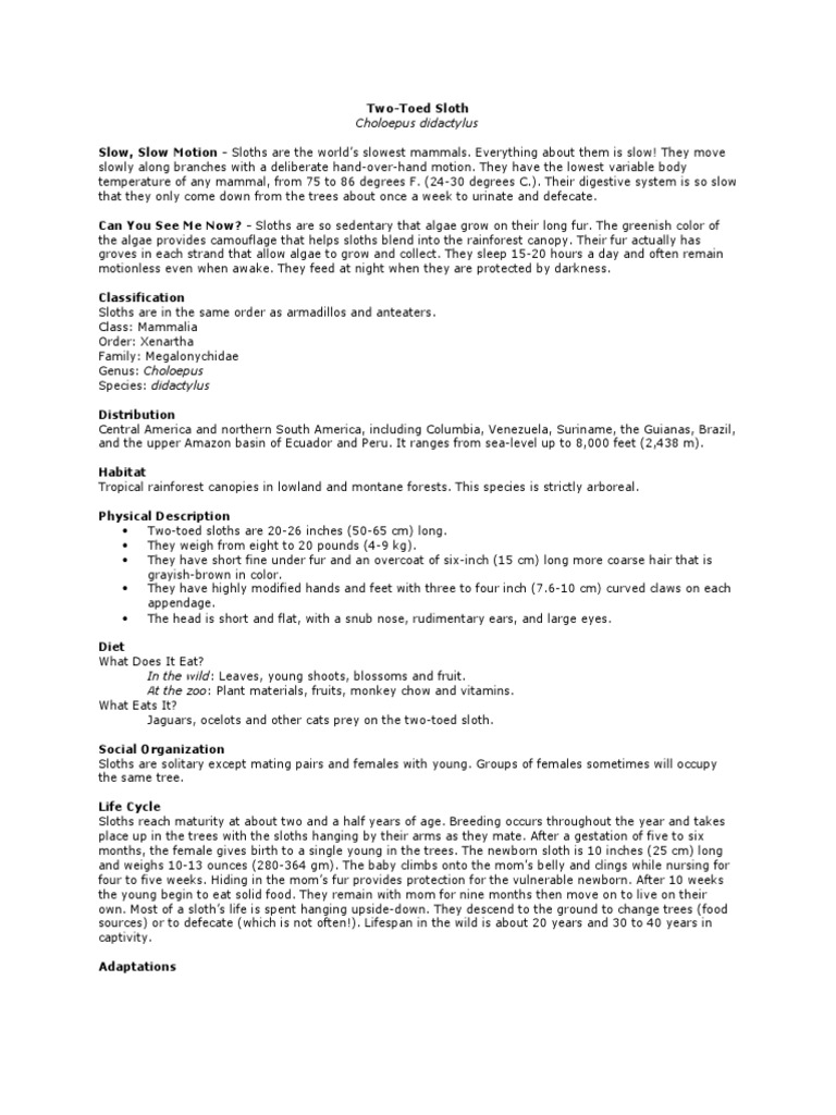 Two Toed Sloth | PDF | Organisms | Nature