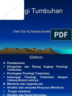 Pendahuluan Fisitum