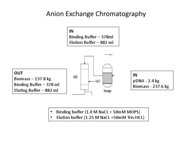 Anion Exchange Chromatography Binding Buffer 378ml Elution Buffer