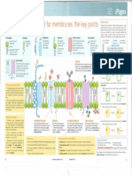 The Fluid Mosaic Model For Membr The Key Points: Anes