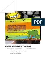 Human Respiratory System