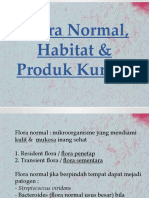 Flora Normal, Habitat & Produk Kuman