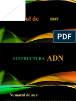 Numărul de Aur Și Structura ADN