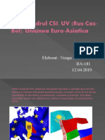 RM in Cadrul CSI, UV (Rus-Caz-Bel Neagu Daniela