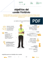 Objetivos Del Comite Paritario