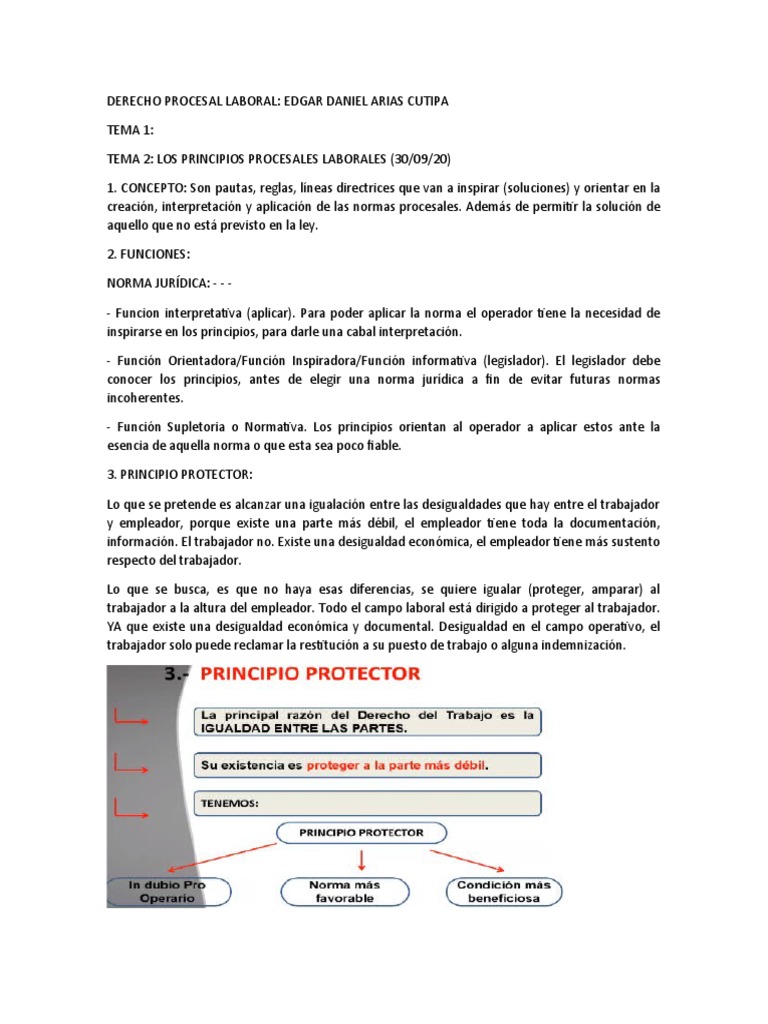 Principios del Derecho Procesal Laboral | PDF | Ley procesal | Derecho ...