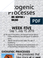 week5exogenicprocesses-190717060052 (1).pptx