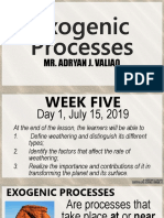 week5exogenicprocesses-190717060052 (1).pdf