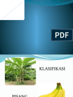 Klasifikasi Pisang 3B