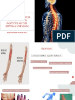 Alteraciones en El Exemen Fisico Particular Del Sistema Nervioso