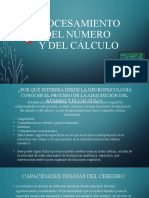 Procesamiento Matematico