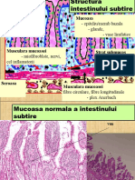 2012 Boli Inflamatorii Intestinale