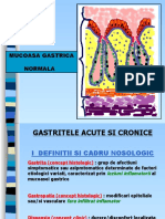 2012 Gastrite