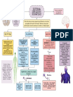 Sistema Nervioso Somatico Cucuta 1