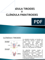 GLANDULAS TIROIDES Y PARATIROIDES