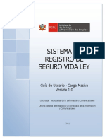 GUIAUSUARIO_CARGAMASIVA.pdf