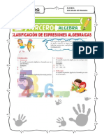 Algebra Clasificacion de Una Expresion Algebraica 3er Grado PDF