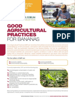 Good Agricultural Practices: For Bananas