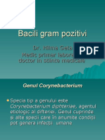 Bacili gram pozitivi