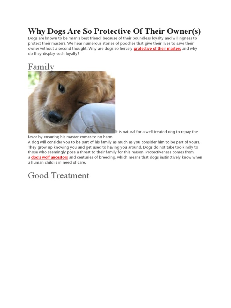 Family Why Dogs Are So Protective of Their Owner(s) PDF