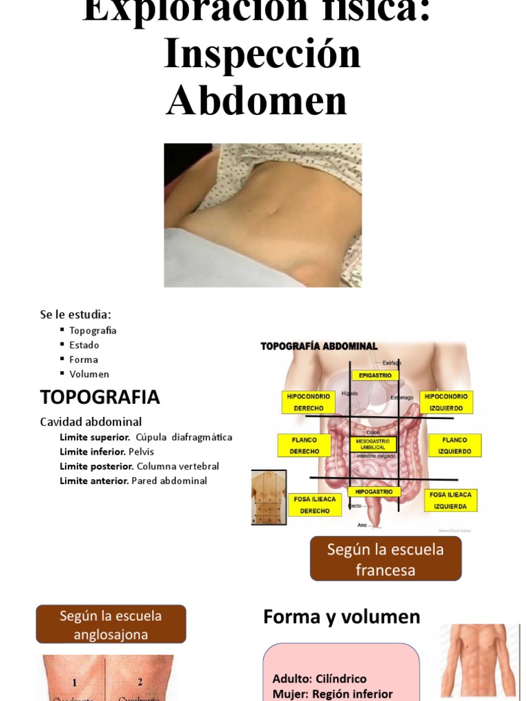 Exploración Física - Abdomen | PDF