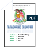 Parascaris Equorum