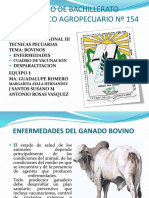 enfermedadesenbovinos-140525203020-phpapp02.pdf