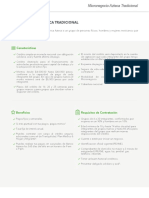 folleto-informativo-micronegocio-tradicional