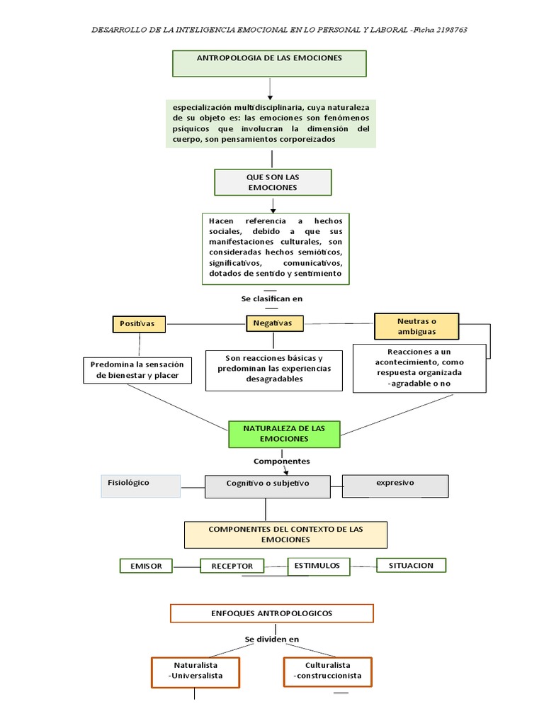 Mapa Conceptual | PDF | Inteligencia emocional | Las emociones