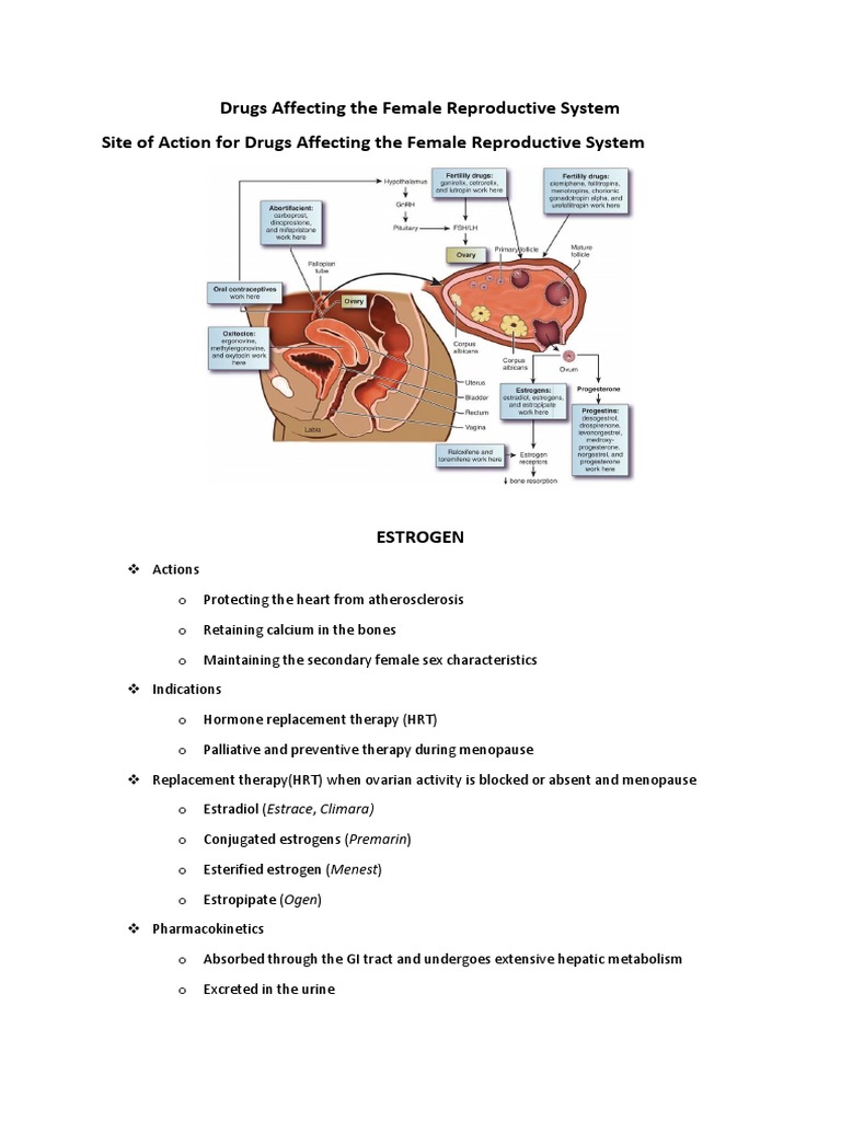 Drugs Affecting The Female Reproductive System | PDF | Estrogen ...