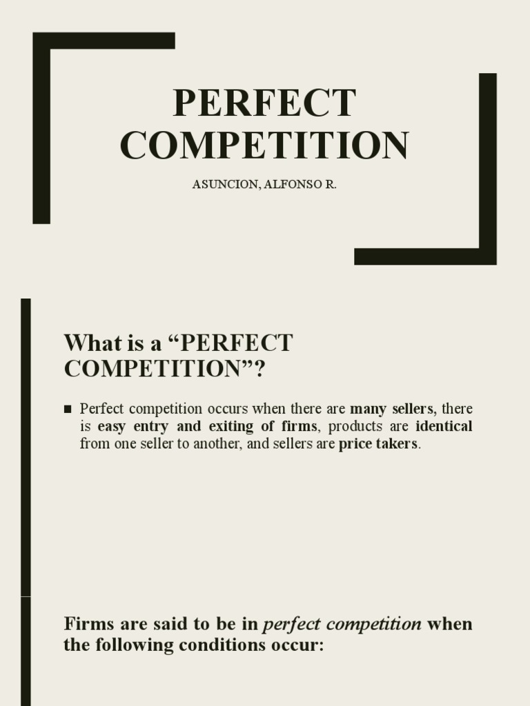 Understanding Perfect Competition | PDF