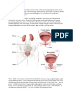 Ureter Materi