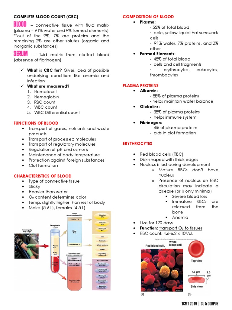 CBC Test Overview and Interpretation | PDF | Blood Type | White Blood Cell