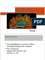 Cytoskeleton and Cell Motility