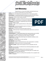 Rainforest Vocabulary PDF