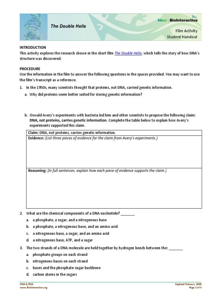The Double Helix: Film Activity Student Handout | PDF | Nucleic Acid  Sequence | Dna