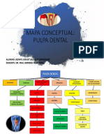 Mapa Conceptual Pulpa Dental - Endodoncia I