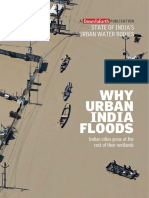 Assam - Why Urban India Floods