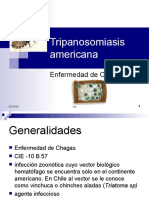 Chagas Toxoplasma