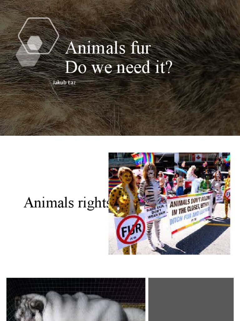 The Ethics of Fur: Animal Rights Issues | PDF